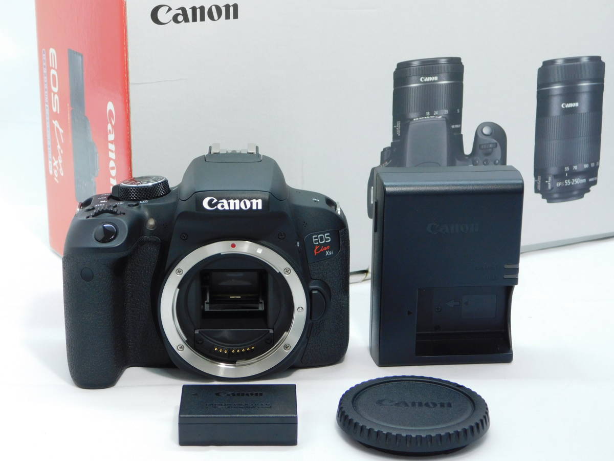 から厳選した キヤノン Canon □極上品□ EOS ＃17245 24回！ 約