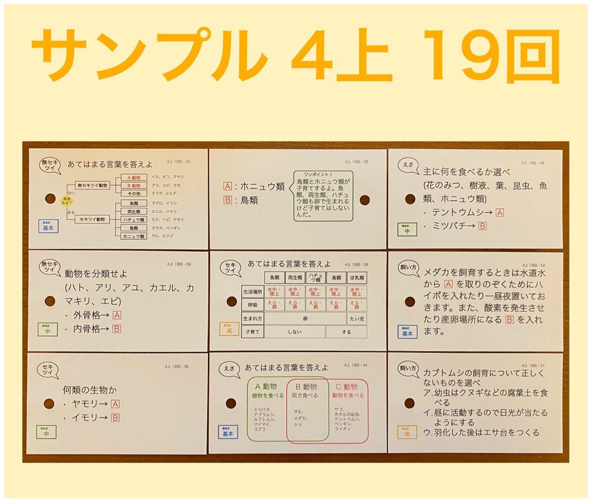 中学受験 暗記カード【4年生向け 理科 生物セット】植物,動物