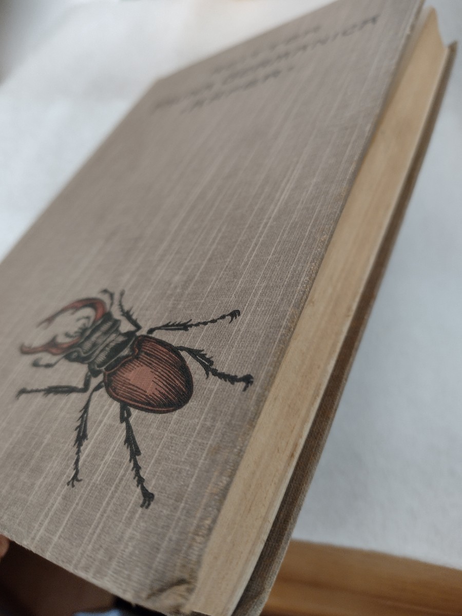 ドイツの甲虫図鑑 Fauna Germanica. Die Kafer des Deutschen ドイツの甲虫図鑑 Fauna Germanica. Die Kafer des Deutschen