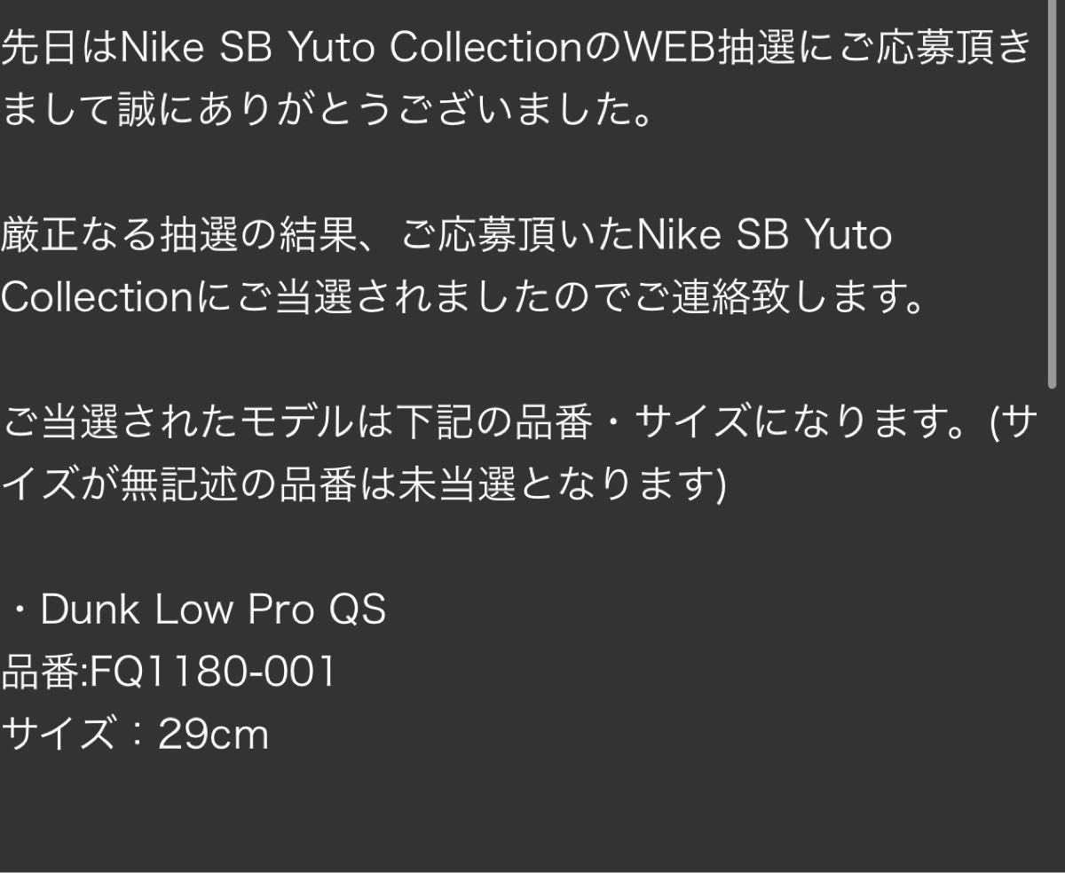 堀米 雄斗(Yuto Horigome) × Nike SB Dunk Low Pro QS Wolf Grey us11