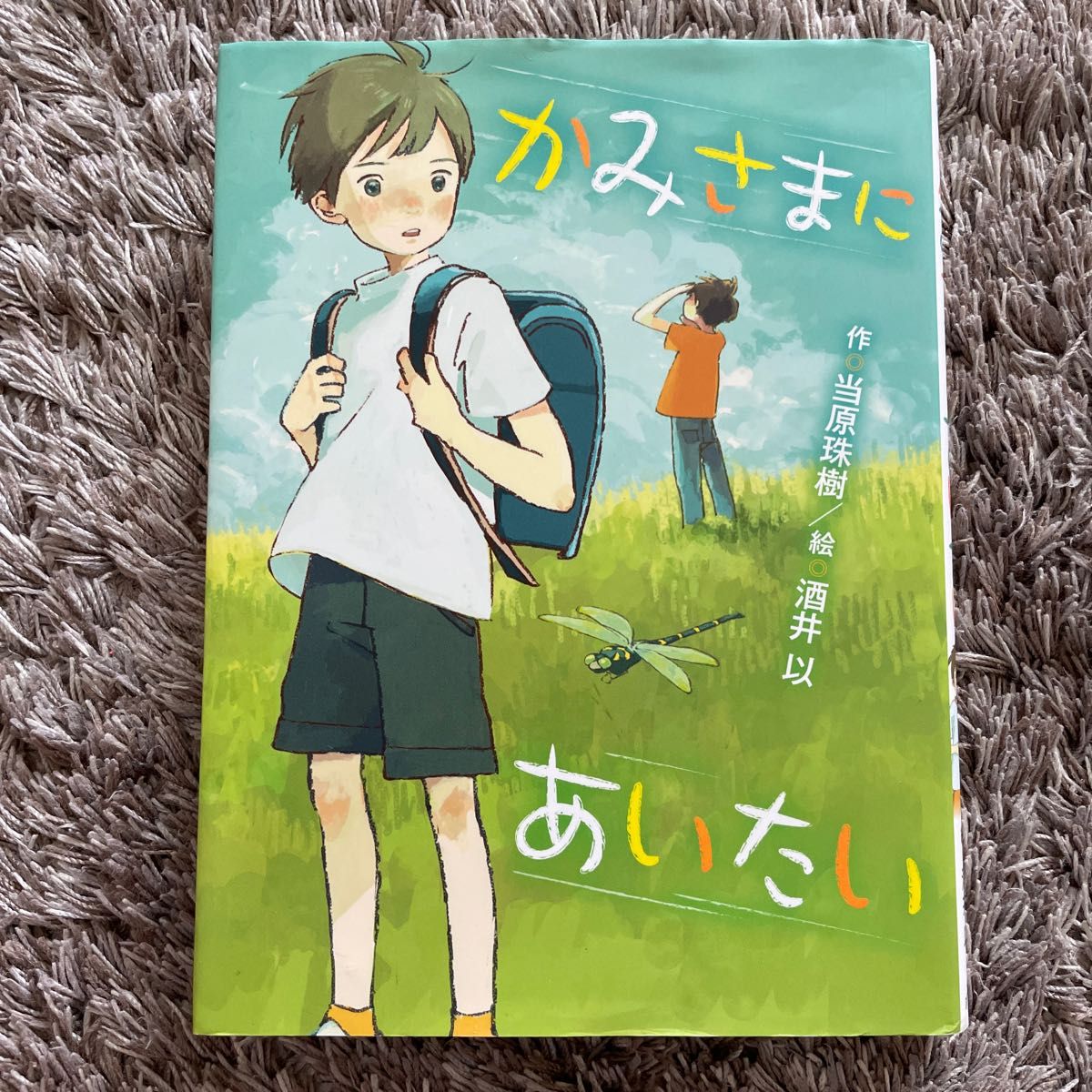 かみさまにあいたい （ポプラ物語館　７６） 当原珠樹／作　酒井以／絵