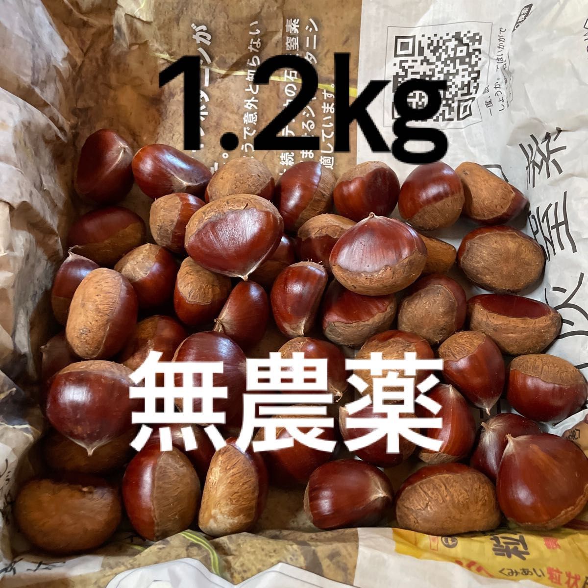 農薬不使用生栗　３Ｌサイズ　１.２kg入　茨城県産
