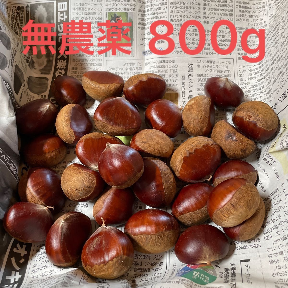 無農薬 生栗 茨城県産 本日朝収穫 800g｜PayPayフリマ