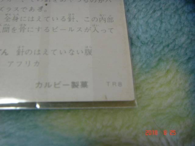 カルビー 旧仮面ライダーカード NO.185 TR8版 B_画像3
