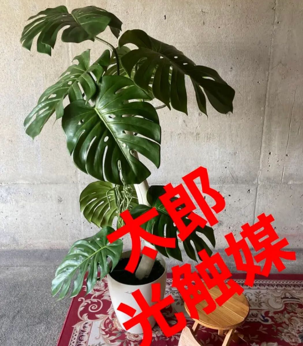 光触媒 人工観葉植物 ウォールグリーン フェイクグリーン モンステラ