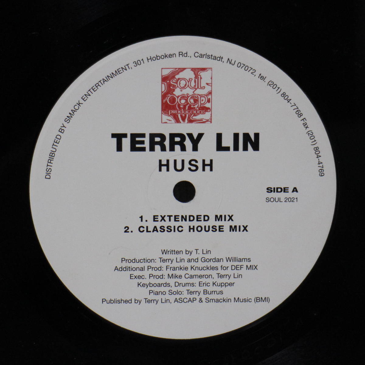 米国盤　LP シュリンク　TERRY LIN / HUSH　ディスコ　手彫りマト　中古美品_画像6