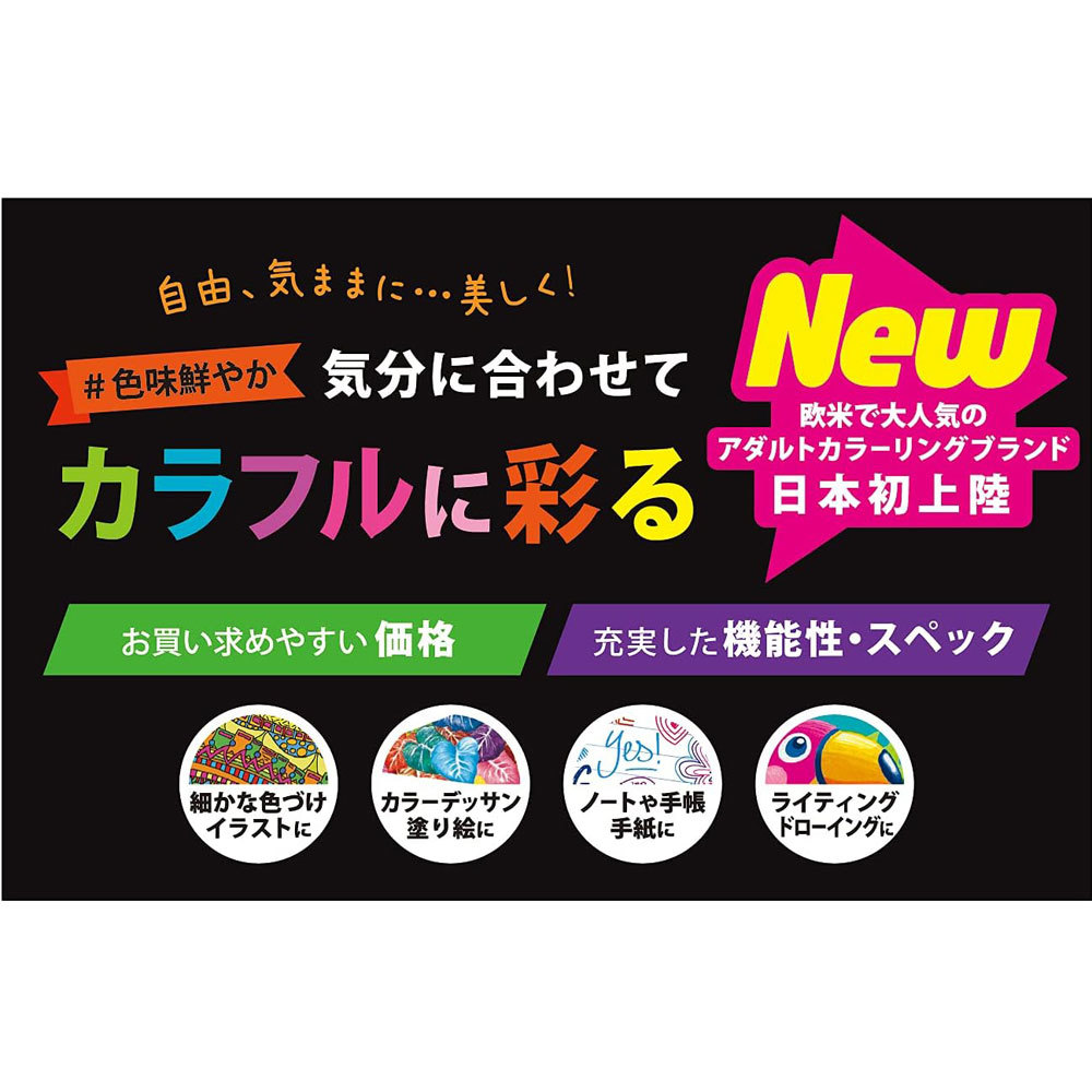 水性ペン フェルトペン 0.8mm 中字 12色 BIC ビック Intensity インテンシティ ITS-FEPMDPK12/1356ｘ２個セット/卸/送料無料メール便_画像5