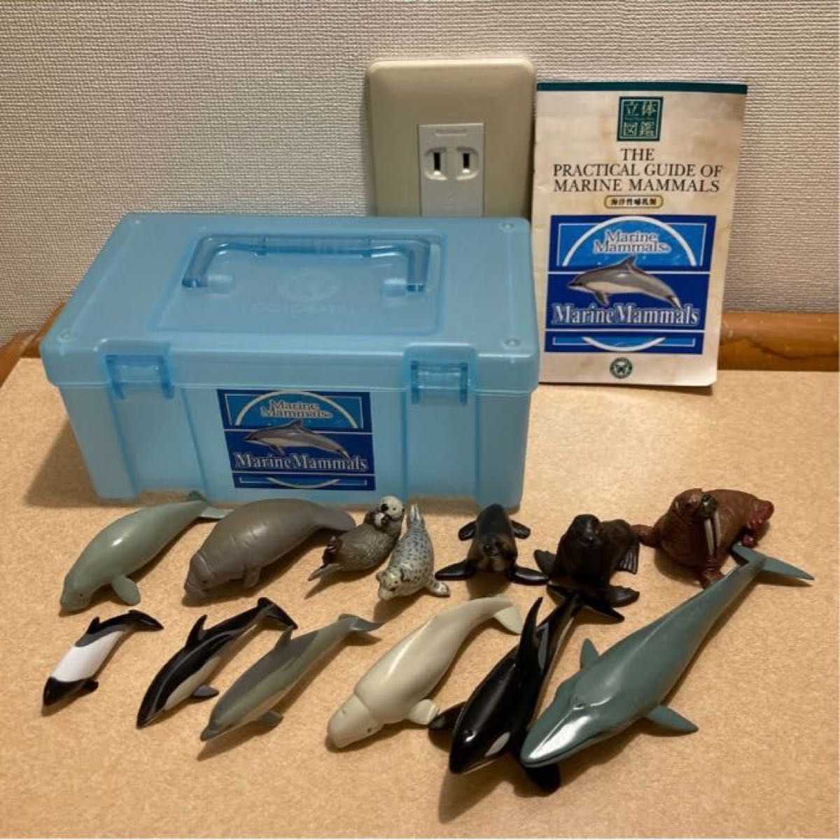 カロラータ 哺乳類 フィギュア (立体図鑑) クジラ/イルカ リアル カロラータ 哺乳類 フィギュア (立体図鑑) クジラ/イルカ リアル