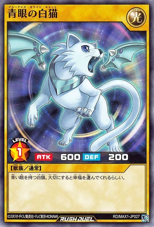 遊戯王カード 青眼の白猫 ノーマル マキシマム超絶強化パック MAX1 通常モンスター 光属性 獣族 ノーマル_画像1