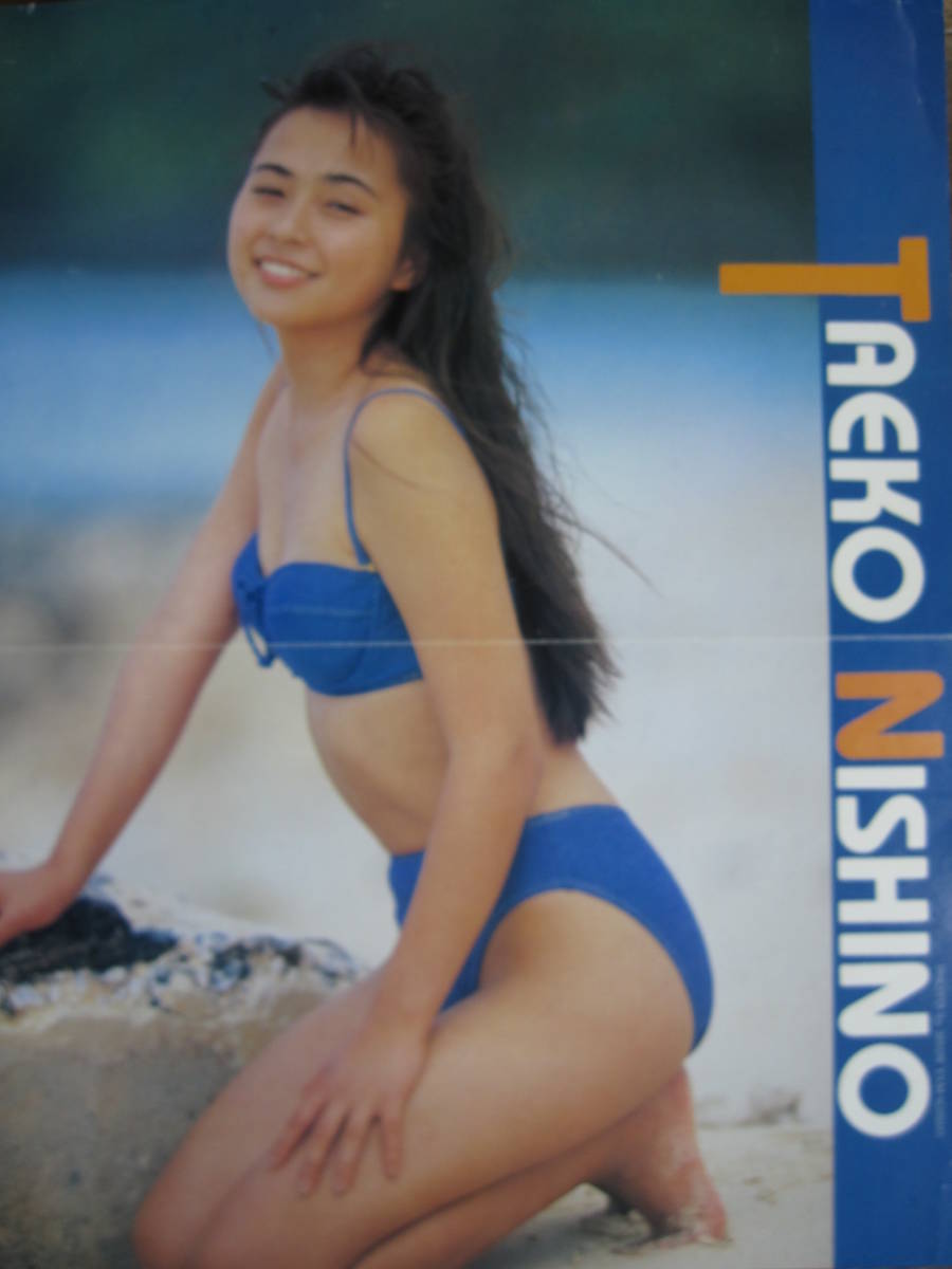  двусторонний постер Toda .. Nishino Taeko (a841)