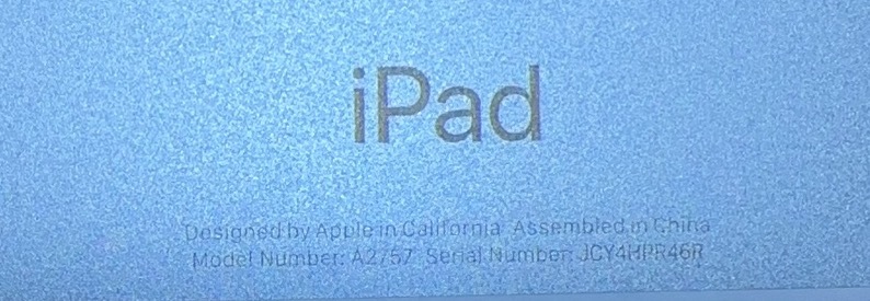 送料無料】Apple 10.9インチ iPad（第10世代）Wi-Fi＋Cellular 64GB