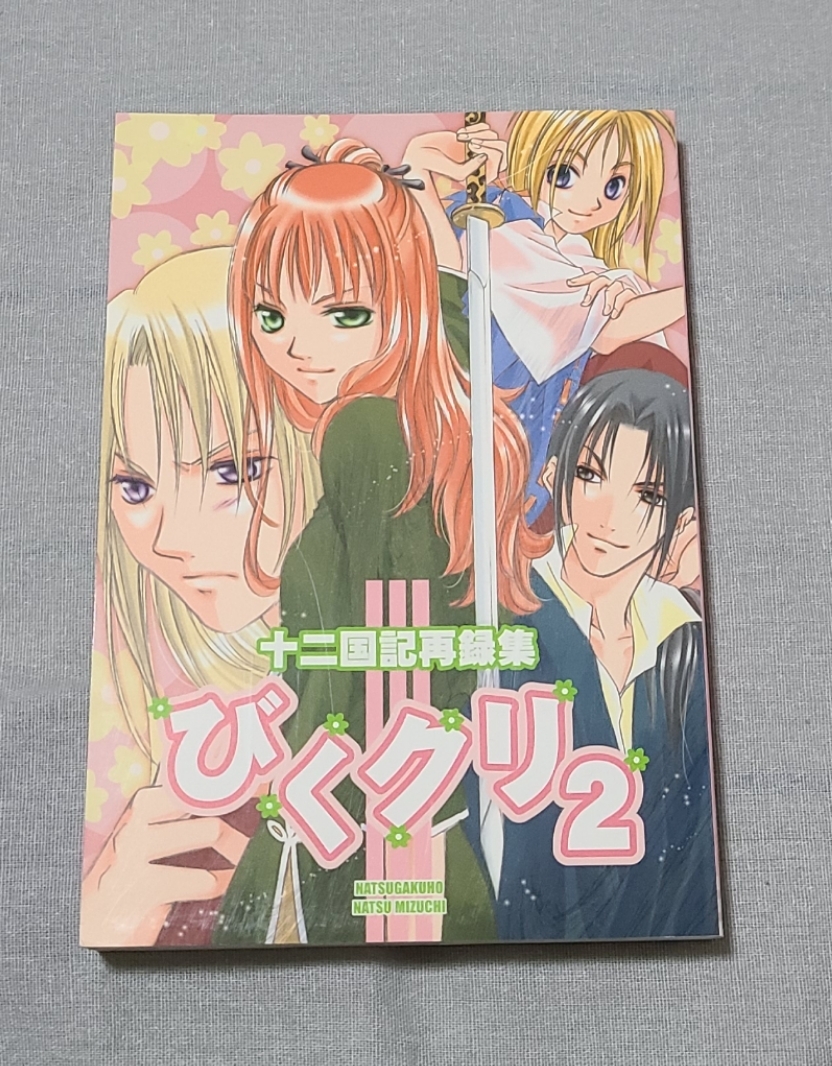 ◆十二国記 びくクリ2 陽子 楽俊 オールキャラ 同人誌