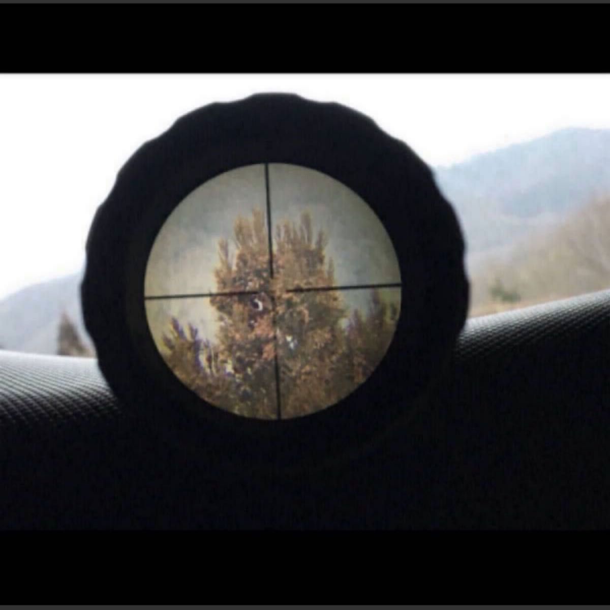 Bushnell ブッシュネル 高倍率 AR Optics 4.5-18x24 ライフルスコープ ベースマウント スナイパー 猟銃