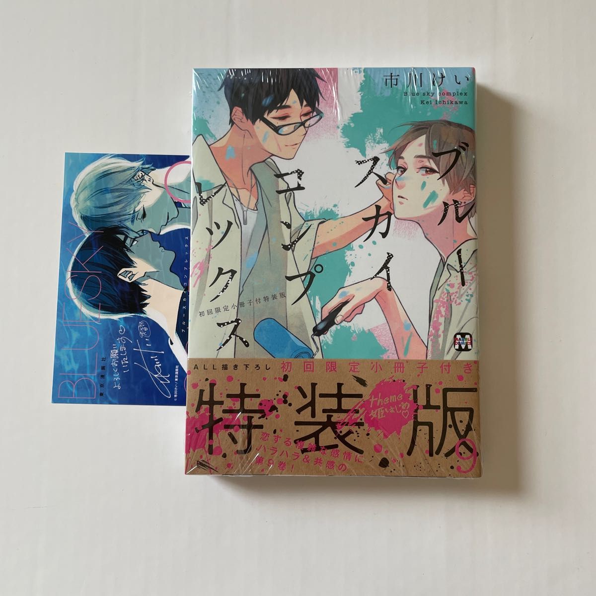 ブルースカイコンプレックス 9巻 小冊子付特装版 市川けい