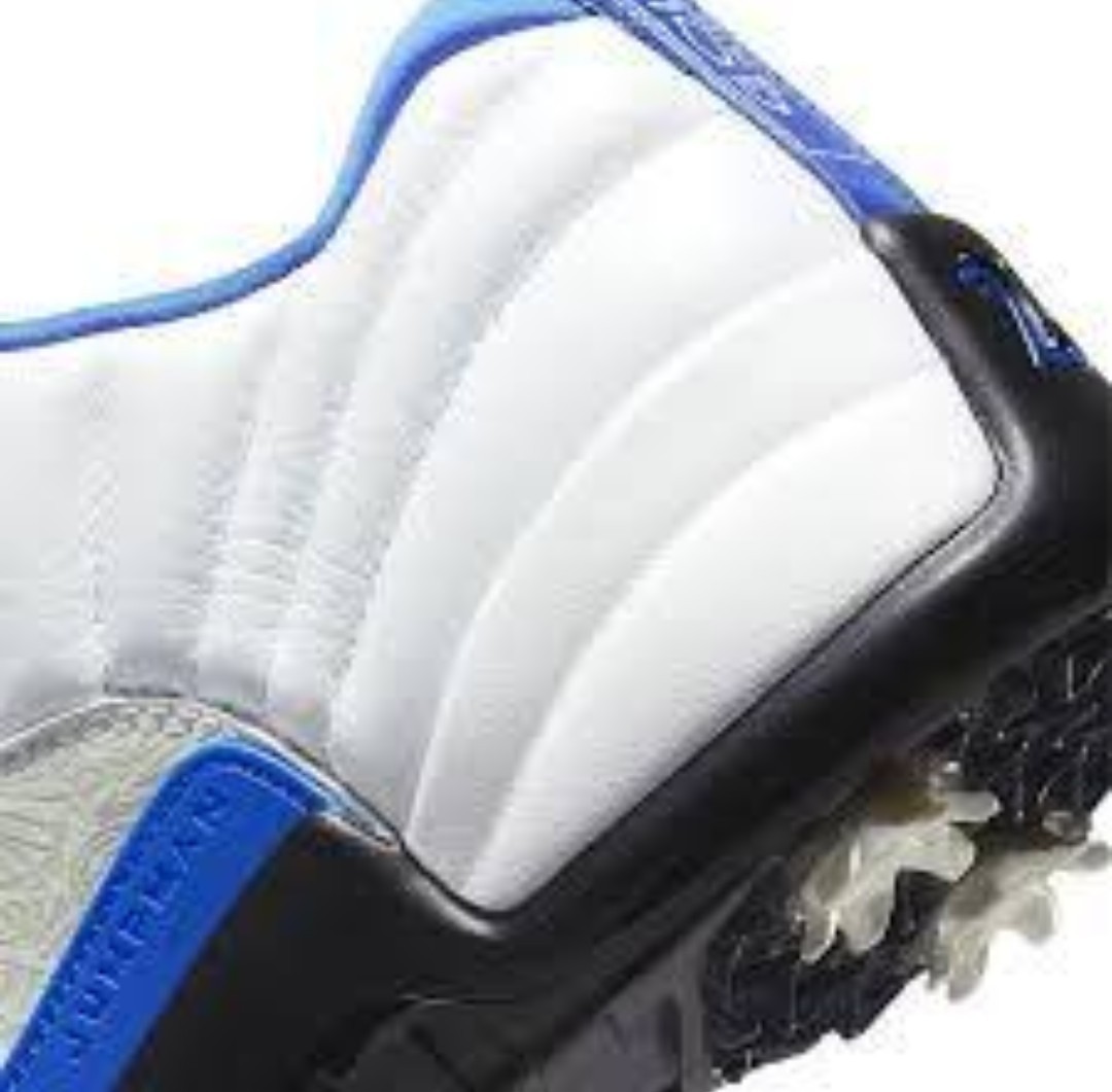 NIKE ナイキ AIR JORDAN12 LOW GOLF NRG 26.5