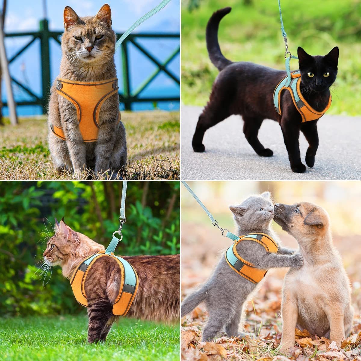 猫 ハーネス リード セット 散歩 ダブルロック カラフル ツートンカラー 外れない かわいい おしゃれ 服 脱げない 通気性 鹿革 猫用 犬_画像10