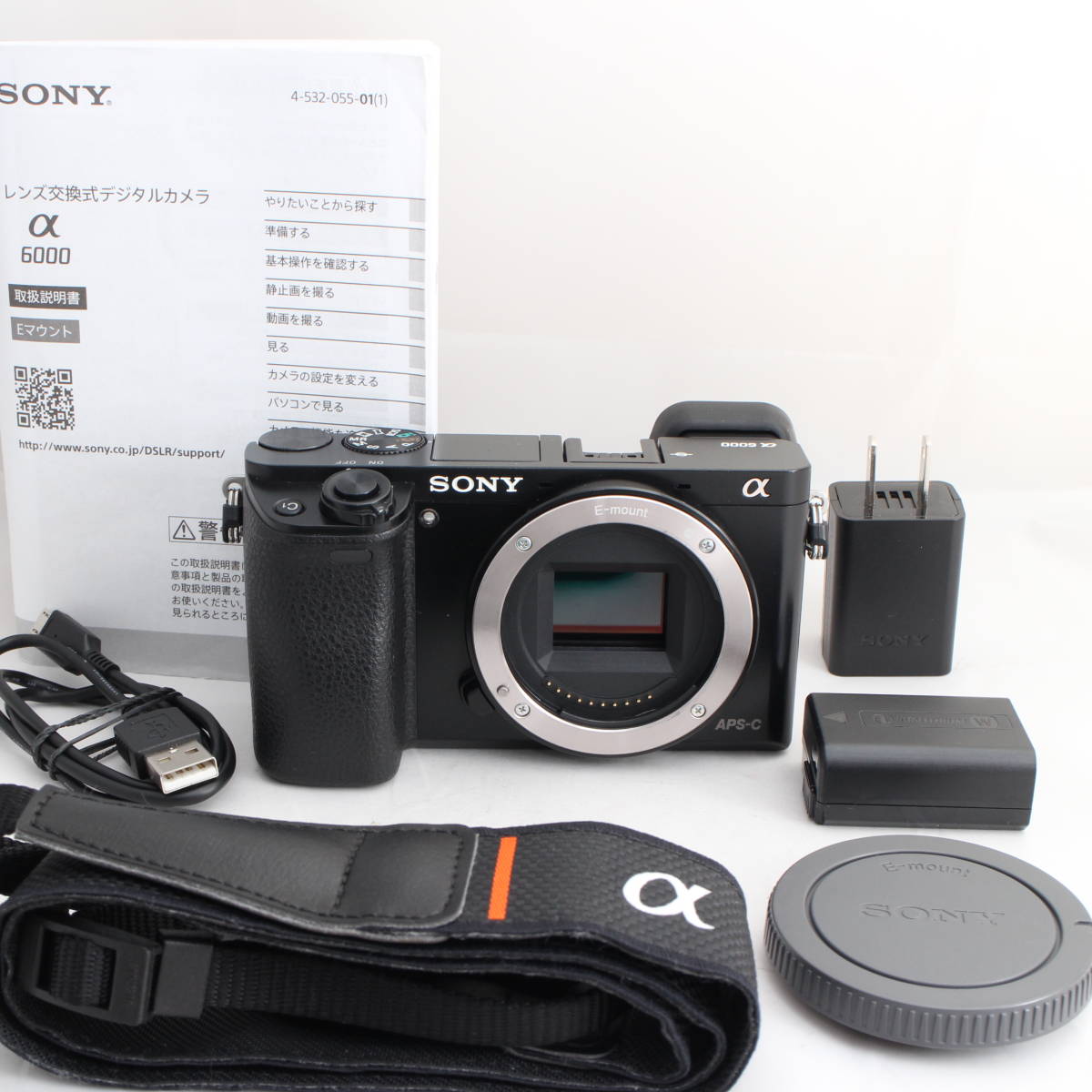 ミラーレス一眼 SONY α6000 ILCE-6000 マウントレンズ-