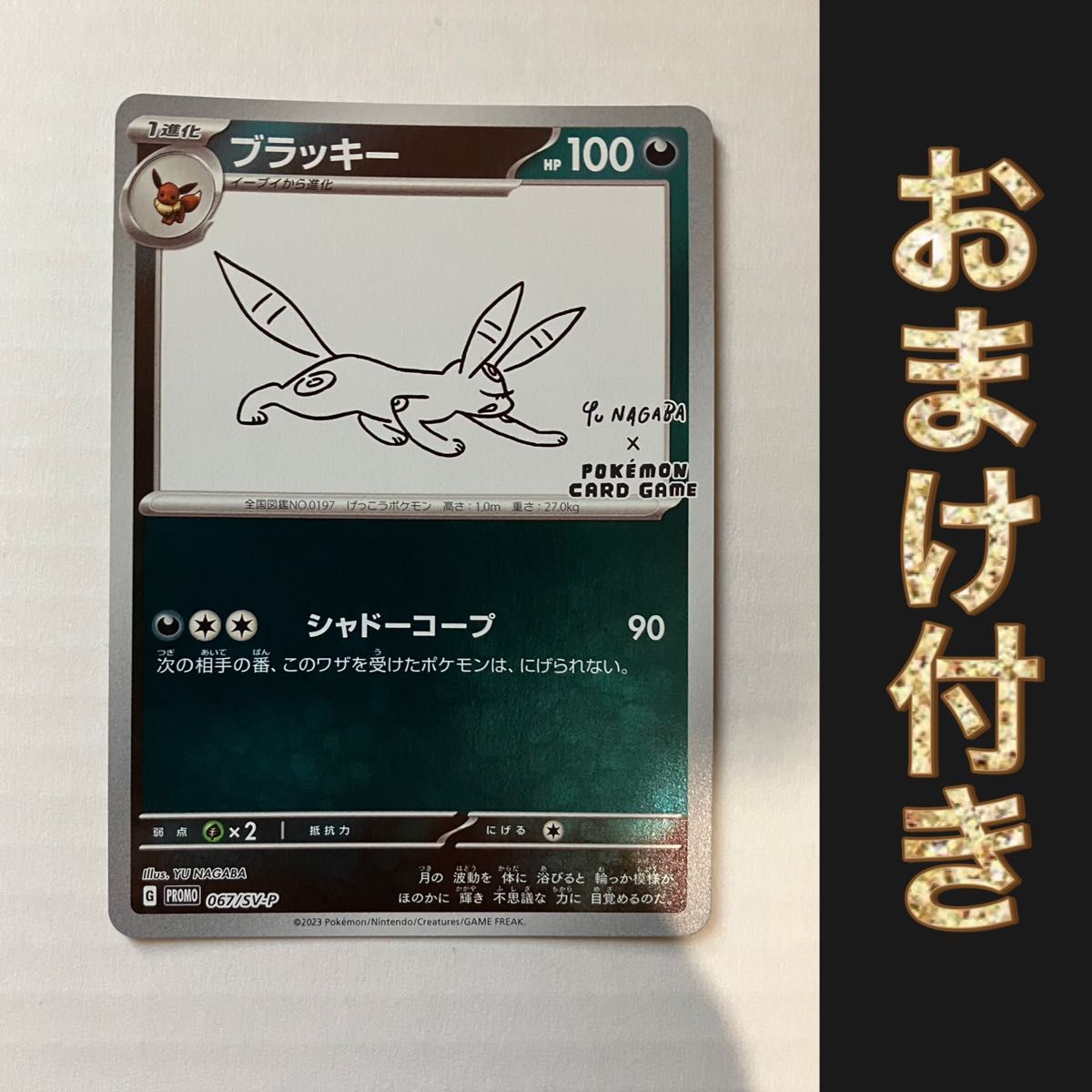 ポケモンカード　長場雄　yu nagaba　ブラッキー　デッキシールド WCS