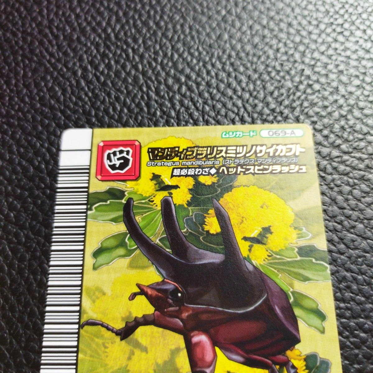 甲虫王者ムシキング 5周年 アダーコレクション 貴重 第2弾 甲虫王者ムシキング 5周年 アダーコレクション 貴重 第2弾