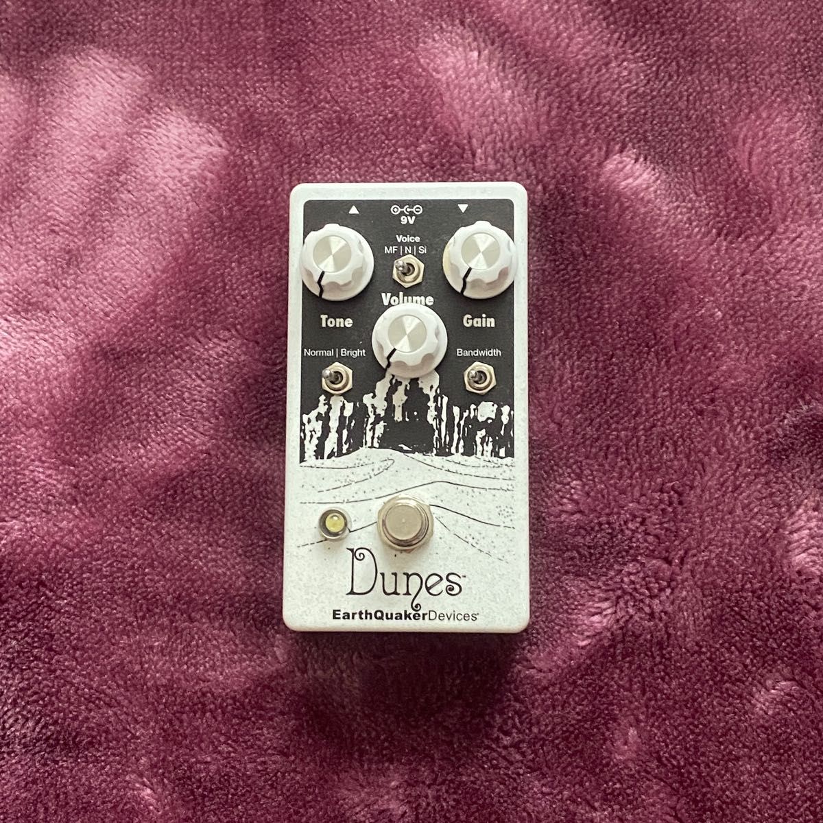 新品同様 EarthQuaker Devices Dunes