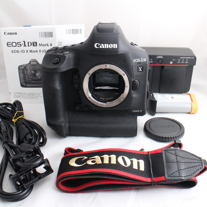 流行に 新品 本革カメラケース R5用 Canon キャノン キヤノン