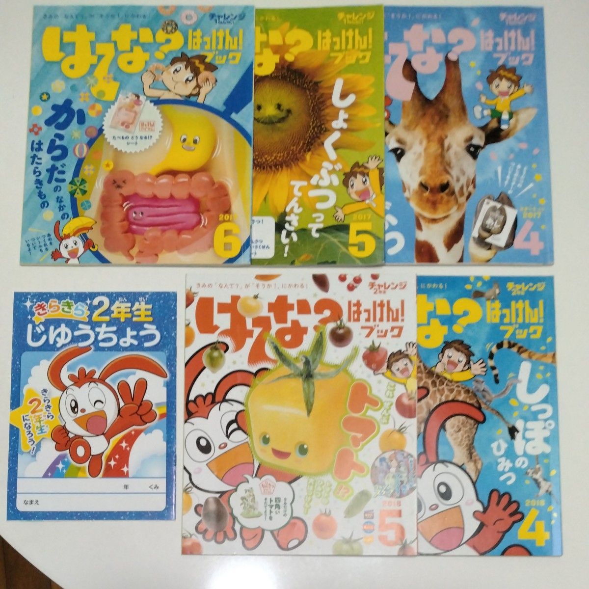 進研ゼミ こどもちゃれんじ チャレンジ 小学生 小学講座