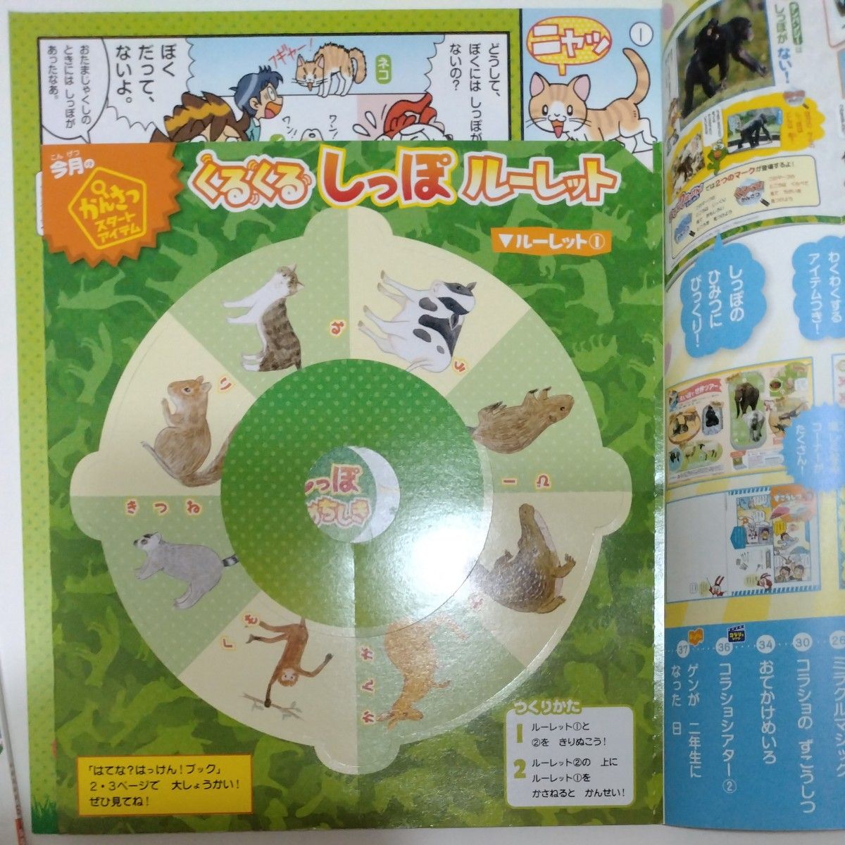 進研ゼミ こどもちゃれんじ チャレンジ 小学生 小学講座