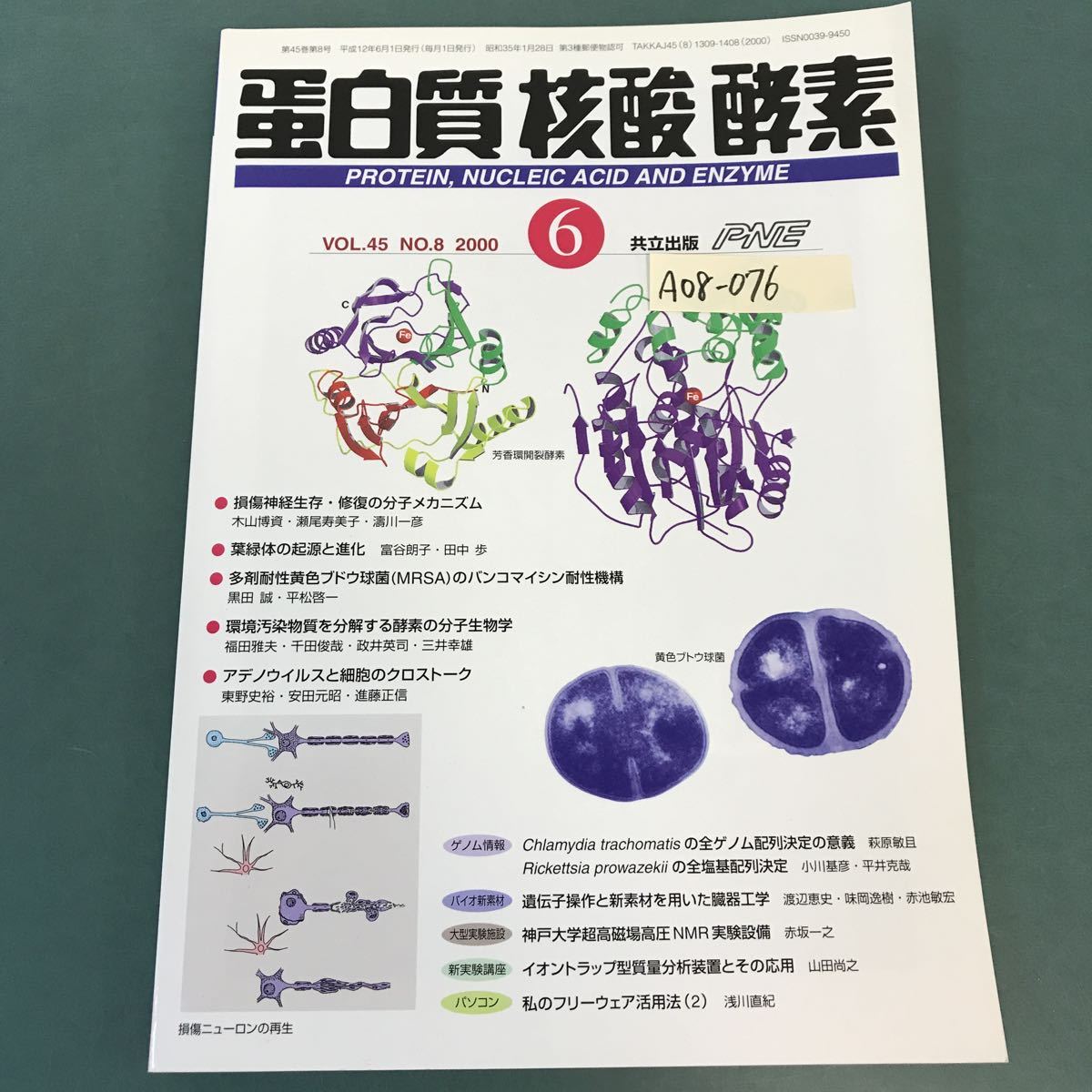 A08-076 蛋白質 核酸 酸素 2000.6 VOL.45 No.8 損失神経の再生 葉緑体の起源と進化 第45巻第8号 通巻610号 1309-1408_画像1