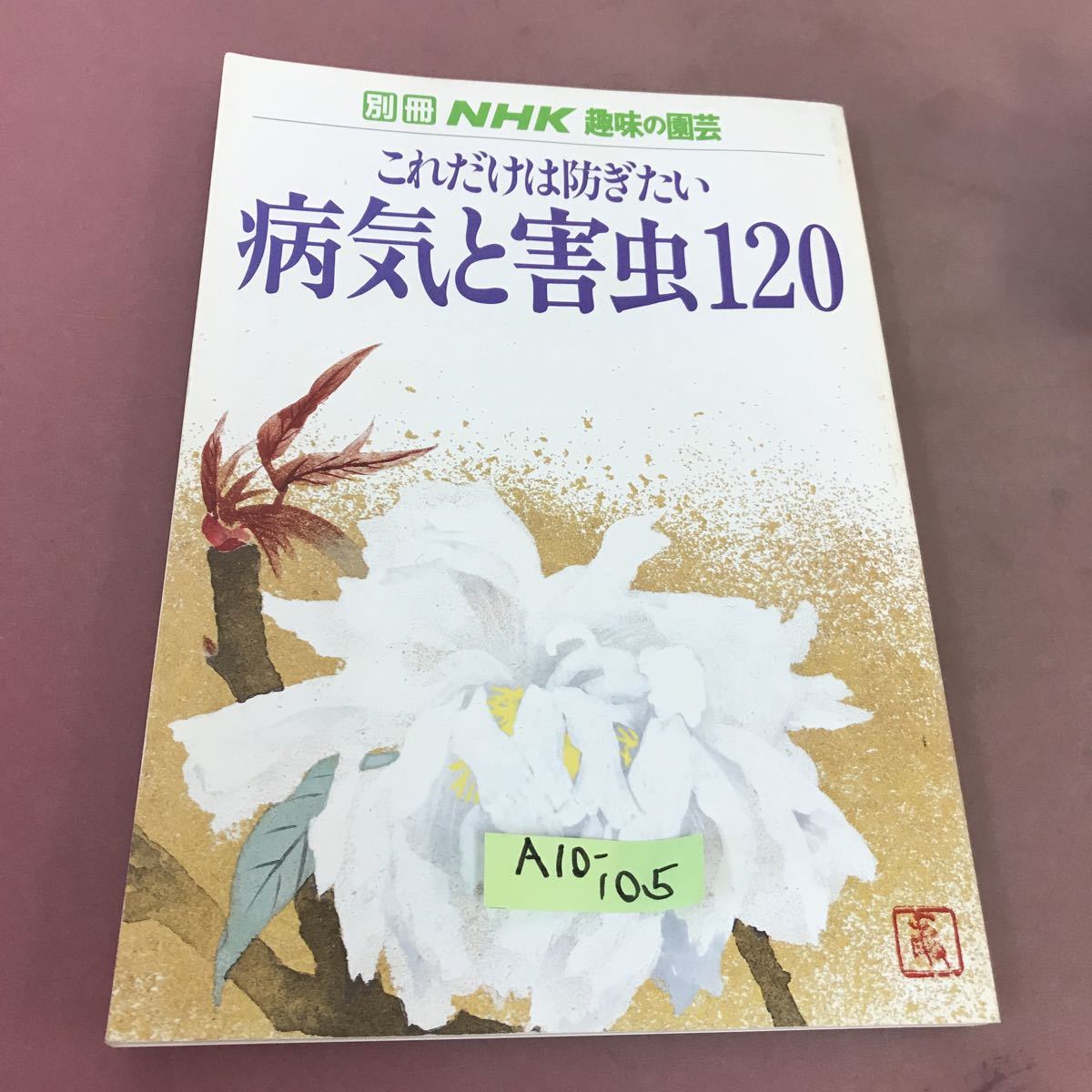 A10-105 別冊 NHK趣味の園芸 これだけは防ぎたい 病気と害虫120 日本放送出版協会
