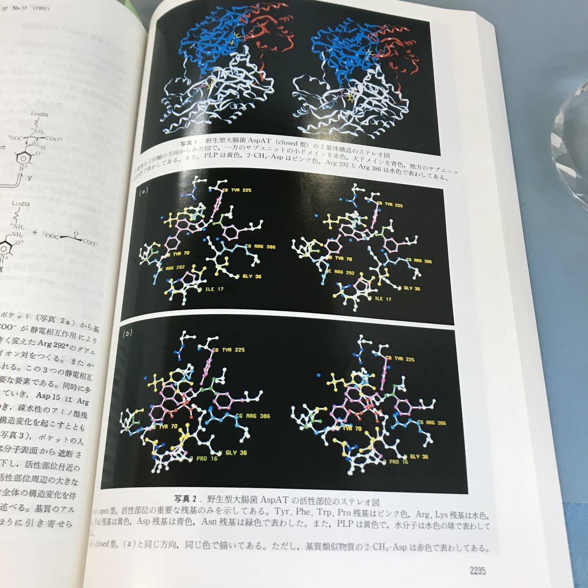 A07-169 蛋白質 核酸 酵素 1992 10 [第37巻第13号]通巻第485号 共立出版株式会社_画像9