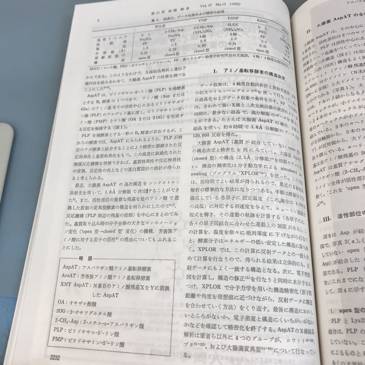 A07-169 蛋白質 核酸 酵素 1992 10 [第37巻第13号]通巻第485号 共立出版株式会社_画像6