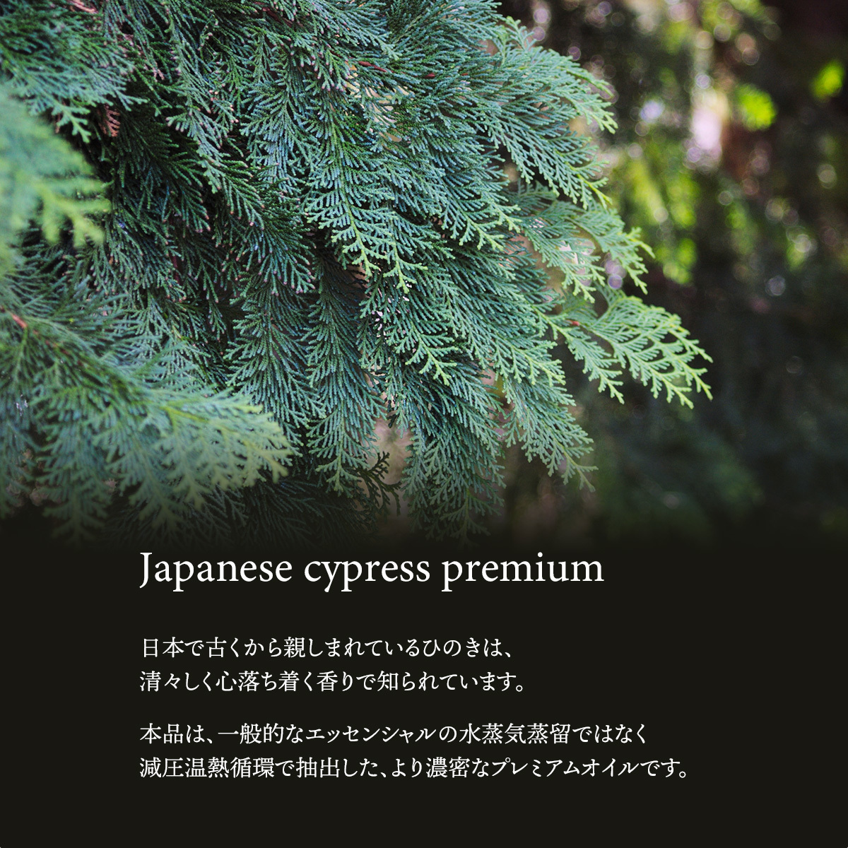 ひのき プレミアム 30ml 精油 アロマ オイル ひのき油 ヒノキ 檜 減圧温熱循環式抽出 お風呂 防虫 天然100% 国産 オイル_画像3