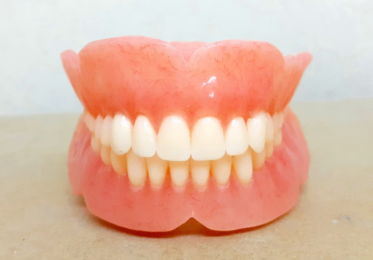 送料込み　上下総義歯　歯科 総義歯 サンプル 見本 入れ歯 フルデンチャー 歯科技工　自費　資料　模型付き