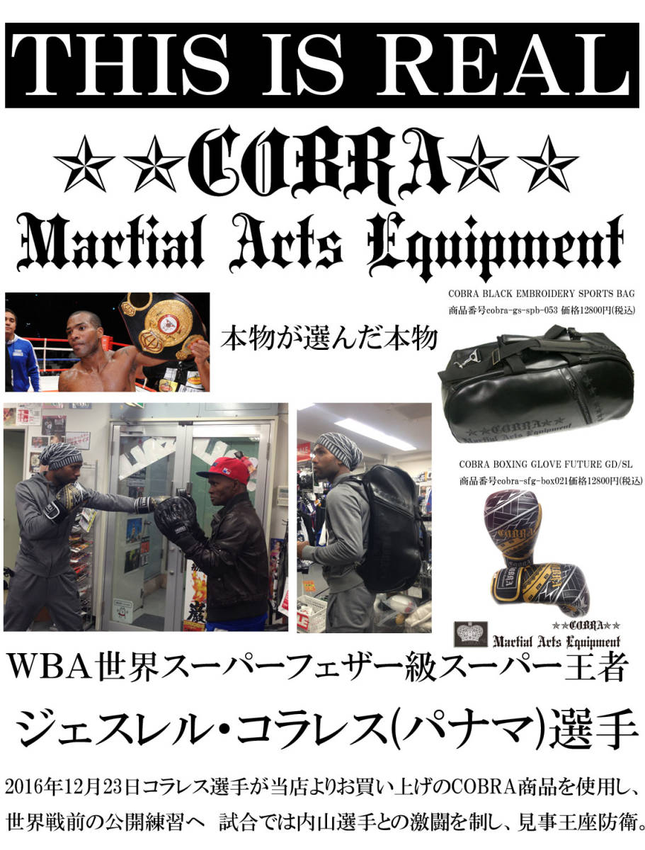 COBRA бокс кикбоксинг рюкзак рюкзак Sportback боевые искусства cobra-n-MSPB