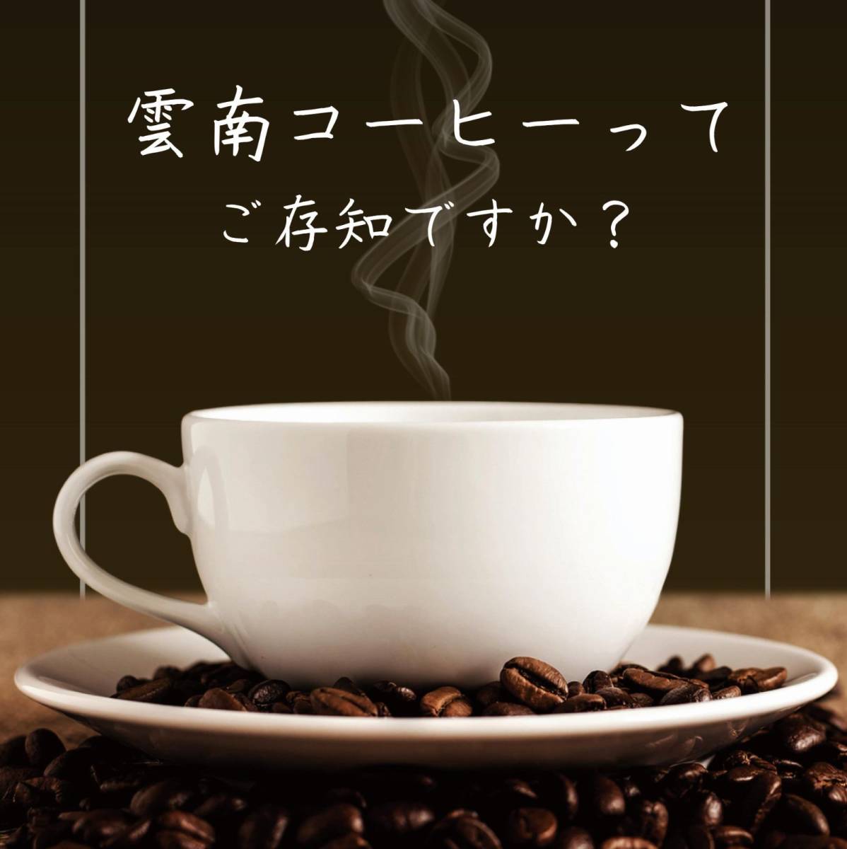 [Luscious Mountain Coffee][. south imperial b Len to10 sack ] original Blend coffee drip bag .. first in Japan! present 