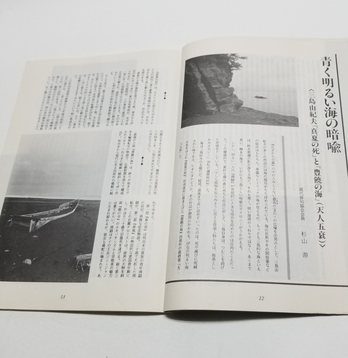 季刊　静岡の文化　第27号　1991年 秋　_画像5