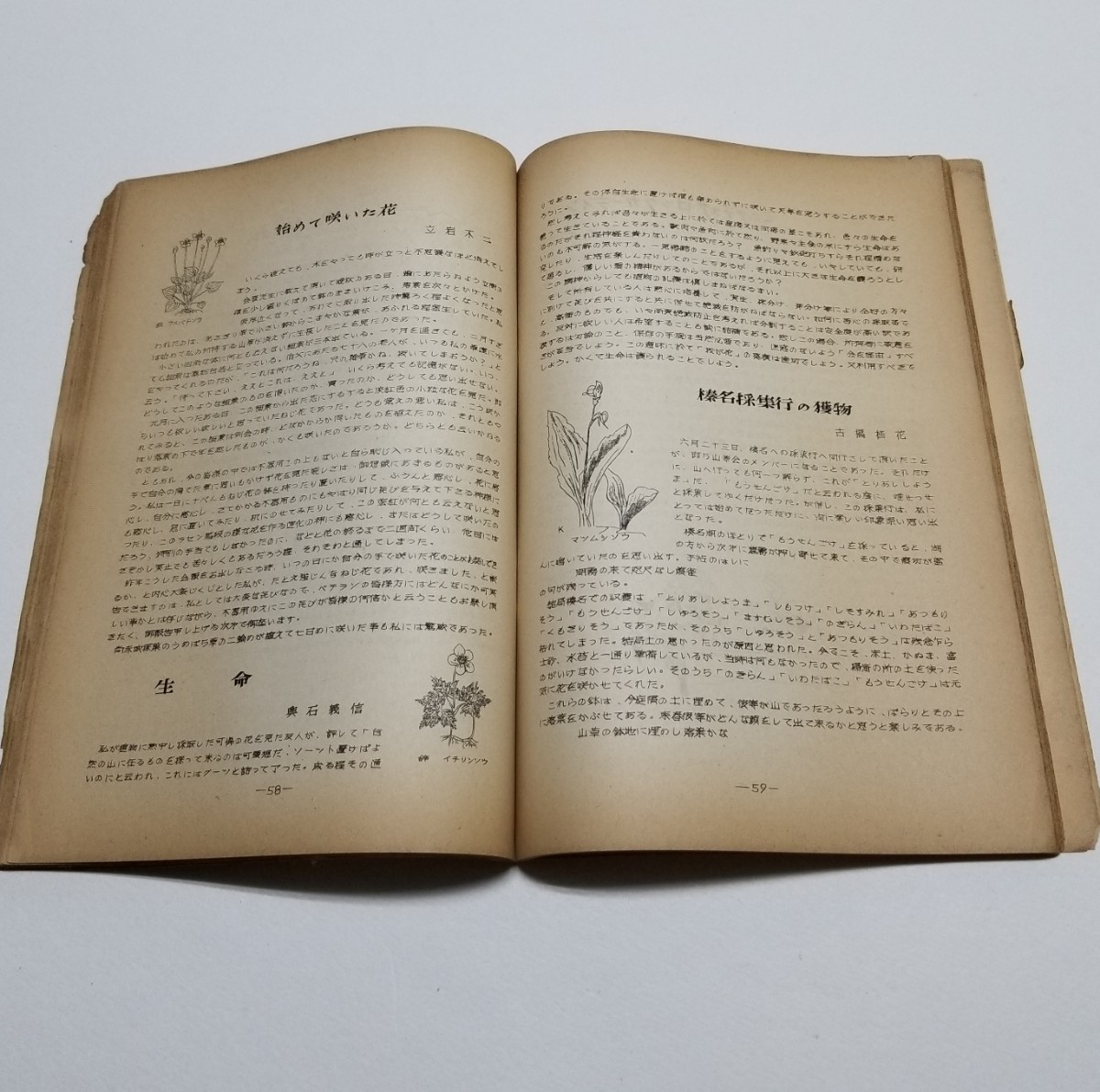 埼玉山草会　会誌　第二号　昭和33年発行_画像6