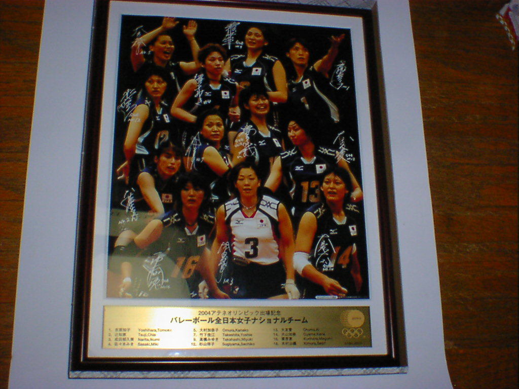 2004年アテネオリンピック出場記念バレーボール全日本ナショナルチーム　額縁入り　_画像1