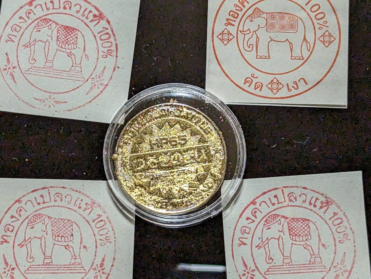 ポケモン　メタルコイン、ストライク、１００％GOLD、純金箔張り_画像8