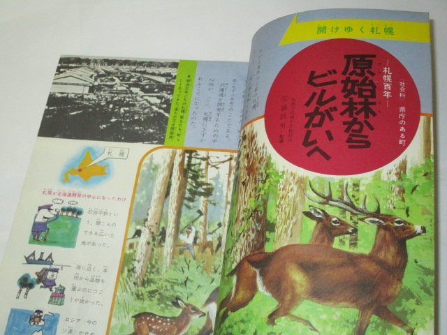 4 year. study 1967.7/... from Bill street . stone rice field . male tree ..... Ikeda dragon male . mountain . two Yamaguchi Taichi west .. horse . light . Kobayashi .. other / Showa era 42