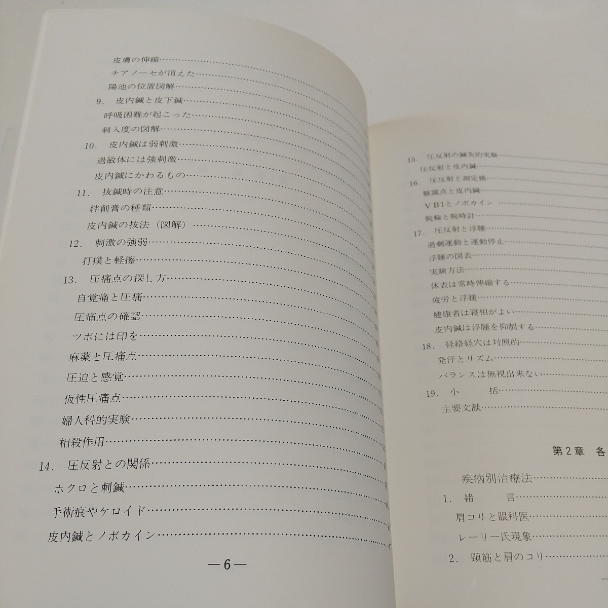 皮内鍼法 赤羽幸兵衛 医道の日本社 平成10年第17版 中古 針 ハリ術 健康 東洋医学 07332F042_画像6