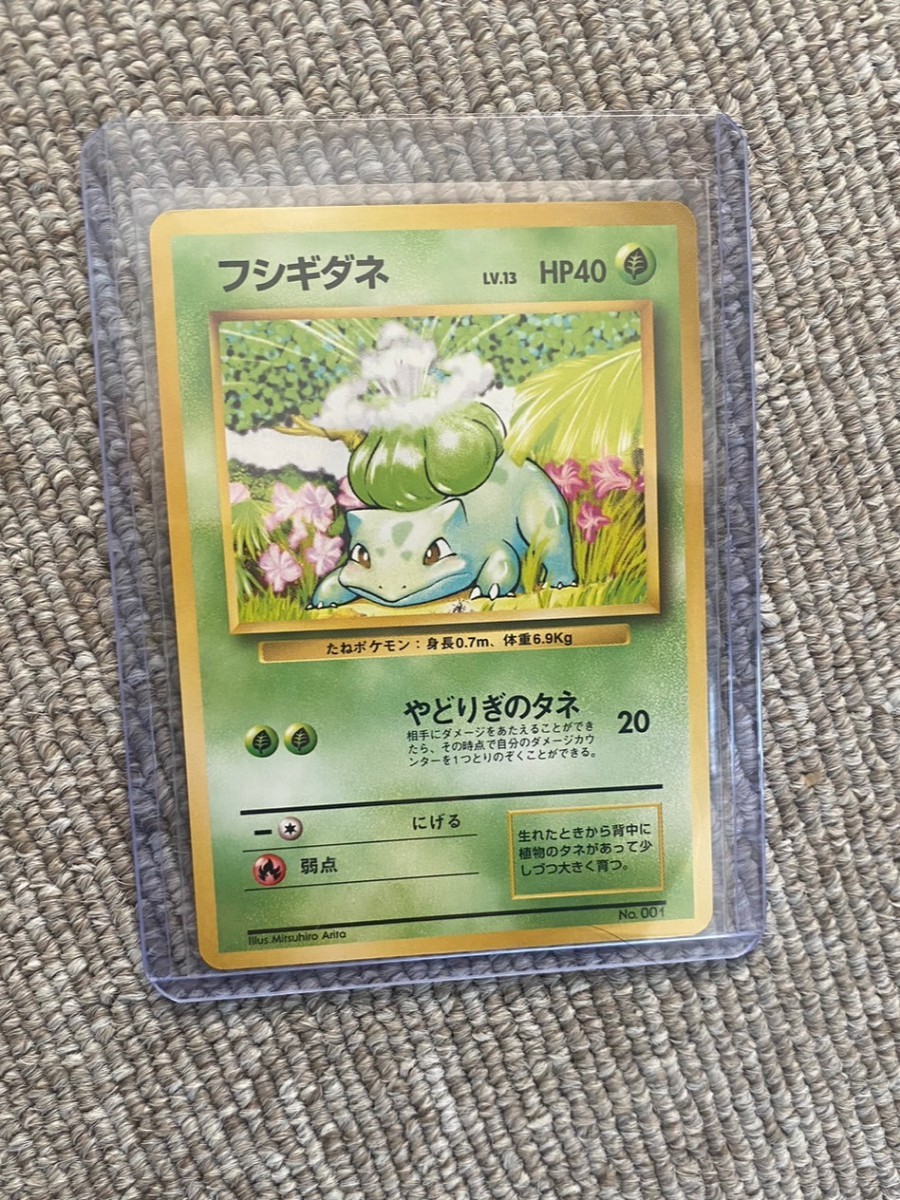 ① ポケモンカード 旧裏面 旧裏 フシギダネ マークなし_画像1