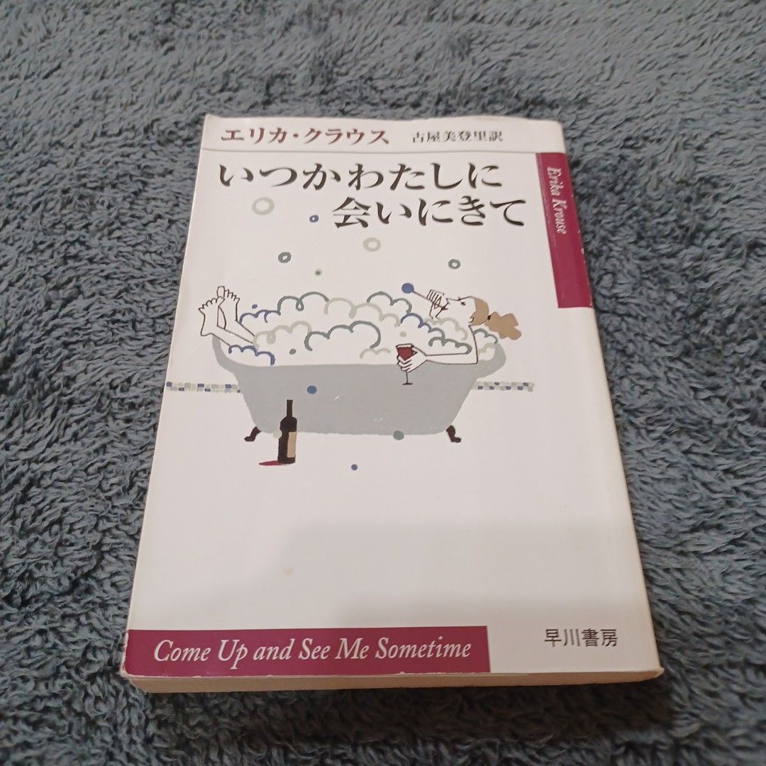 いつかわたしに会いにきて （ハヤカワｅｐｉ文庫） エリカ・クラウス／著　古屋美登里／訳