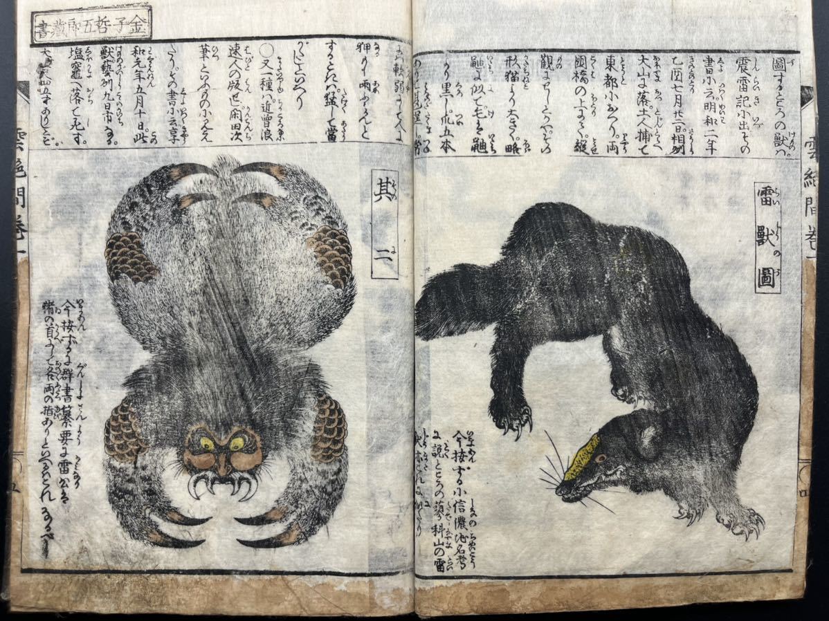 妖怪!幽霊ほか絵入 全5巻5冊揃【雲妙間雨夜月】曲亭馬琴 歌川 妖怪!幽霊ほか絵入 全5巻5冊揃【雲妙間雨夜月】曲亭馬琴 歌川
