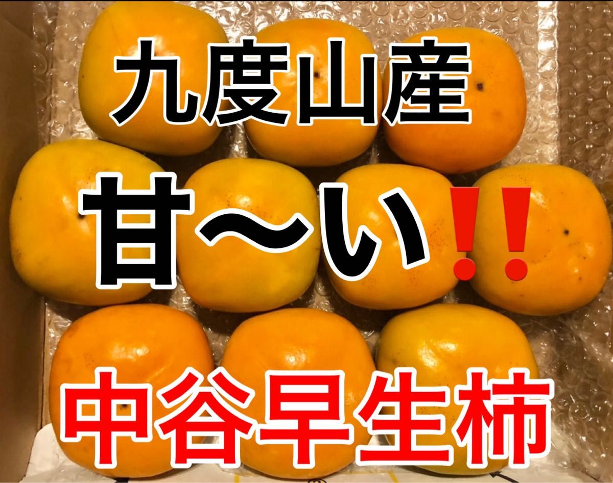 柿　中谷早生　10キロ 以上　ハネダシ品