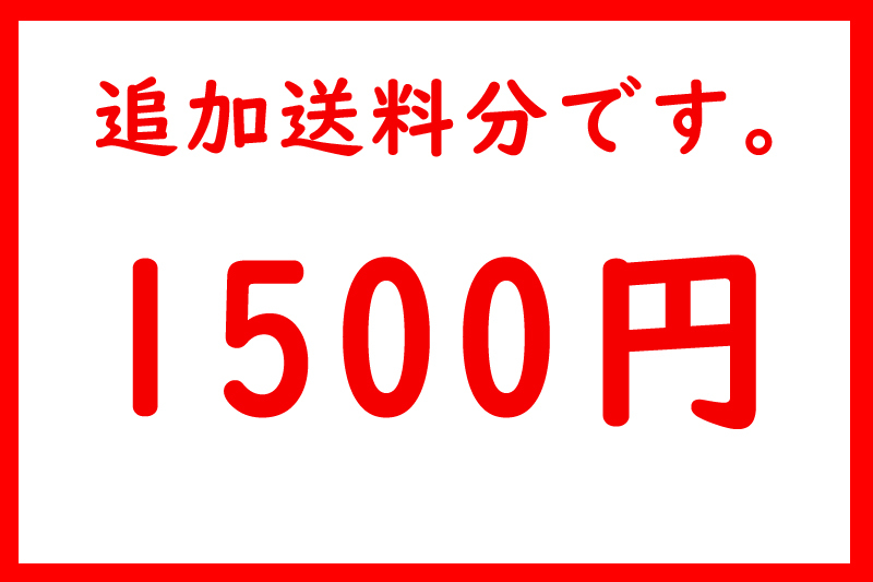 追加送料分 1500円_画像1