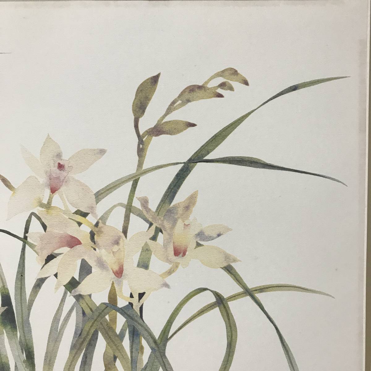 BNC13/19　石版印刷 Susan van Campen Pink Lilies 84/350 1984年 エディションナンバー記載 署名 ■_画像5