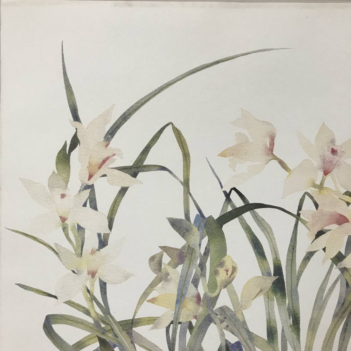 BNC13/19　石版印刷 Susan van Campen Pink Lilies 84/350 1984年 エディションナンバー記載 署名 ■_画像4