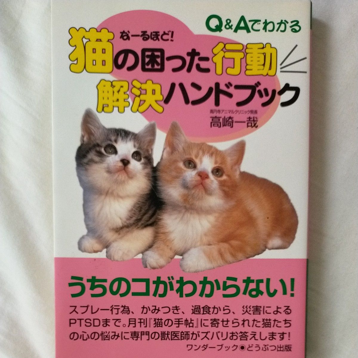 即購入OK★猫の困った行動解決ハンドブック　Ｑ＆Ａでわかる （Ｑ＆Ａでわかる） 高崎一哉／著