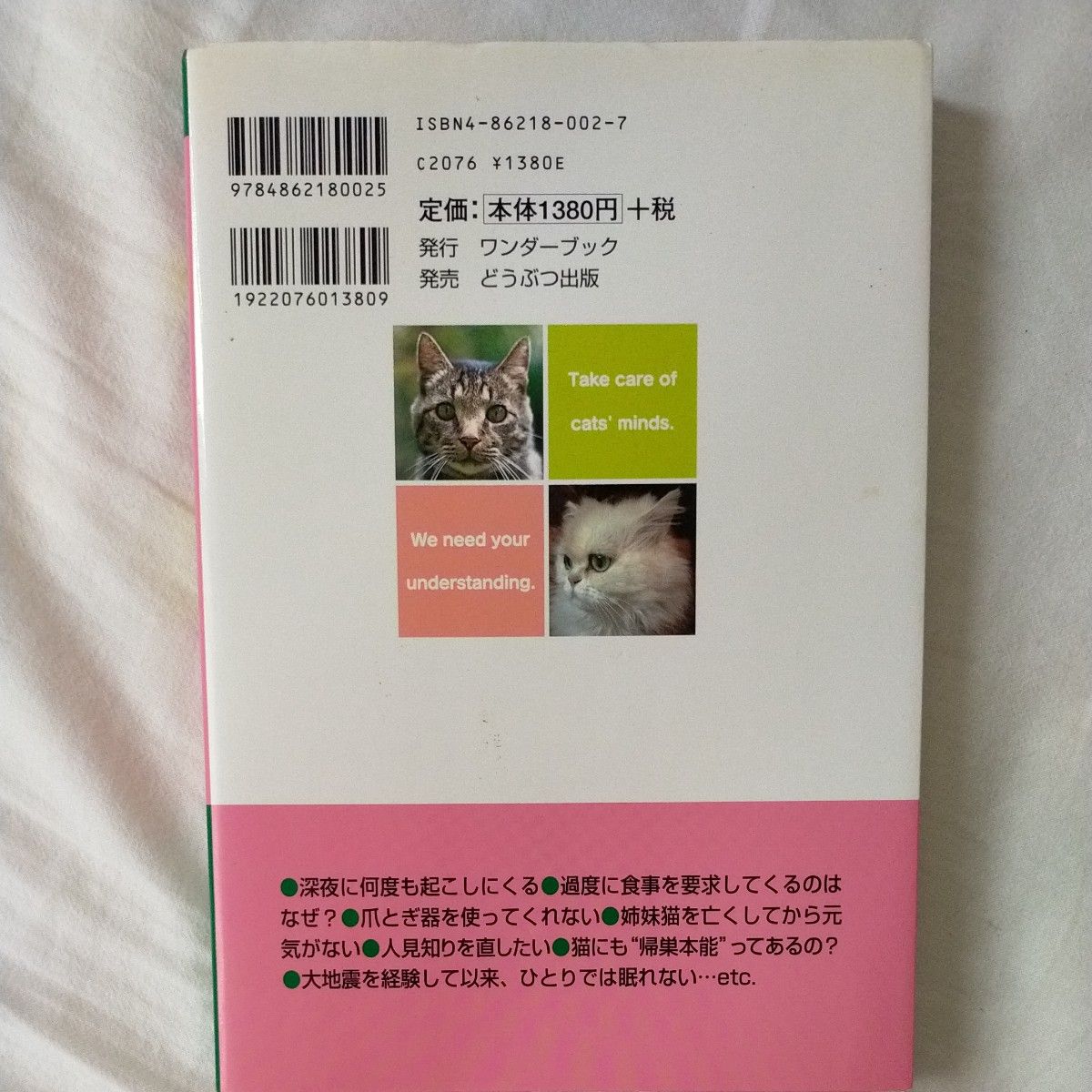 即購入OK★猫の困った行動解決ハンドブック　Ｑ＆Ａでわかる （Ｑ＆Ａでわかる） 高崎一哉／著